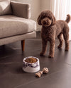 BONO - Handcrafted Italian Calacatta Viola Marble Dog Bowl - Ø7.5 x H3.9 in