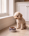 BONO - Handcrafted Italian Calacatta Viola Marble Dog Bowl - Ø7.5 x H3.9 in