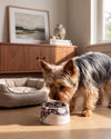 BONO - Handcrafted Italian Calacatta Viola Marble Dog Bowl - Ø7.5 x H3.9 in