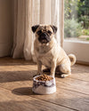 BONO - Handcrafted Italian Calacatta Viola Marble Dog Bowl - Ø7.5 x H3.9 in